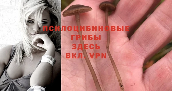каннабис Елизово