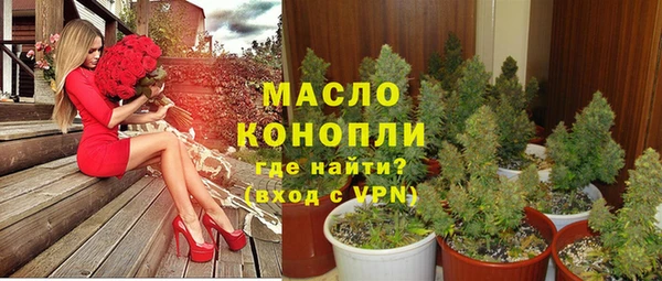 молекула духа Елабуга