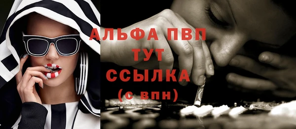 молекула духа Елабуга