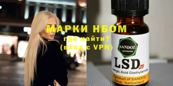 молекула духа Елабуга