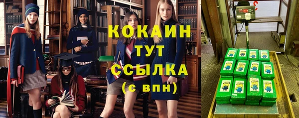 молекула духа Елабуга