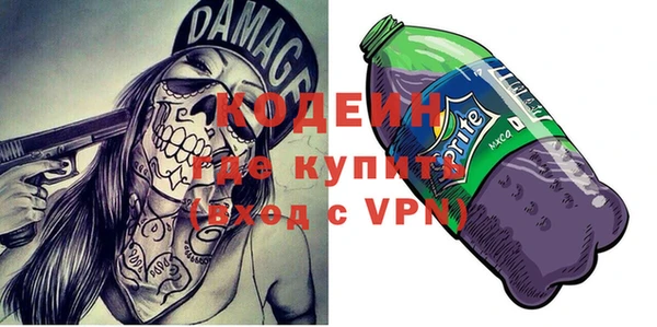 молекула духа Елабуга