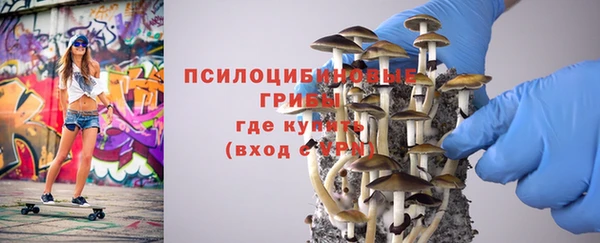молекула духа Елабуга