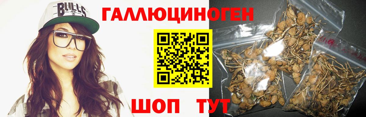 Псилоцибиновые грибы Psilocybe Первоуральск