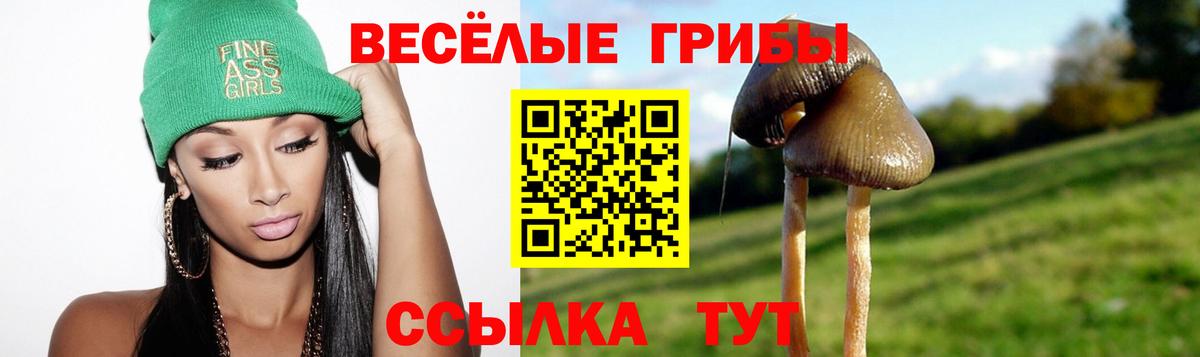 Псилоцибиновые грибы мицелий  закладка  Вход с VPN  Первоуральск  Псилоцибиновые грибы ЛСД 